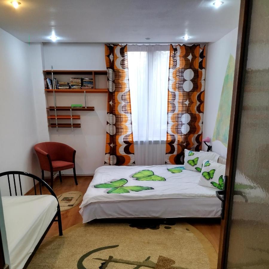 Apartment Camelia Petrosani