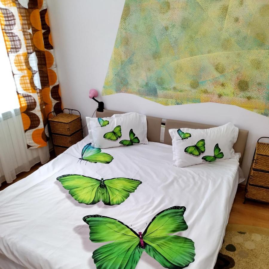 Apartment Camelia Petrosani