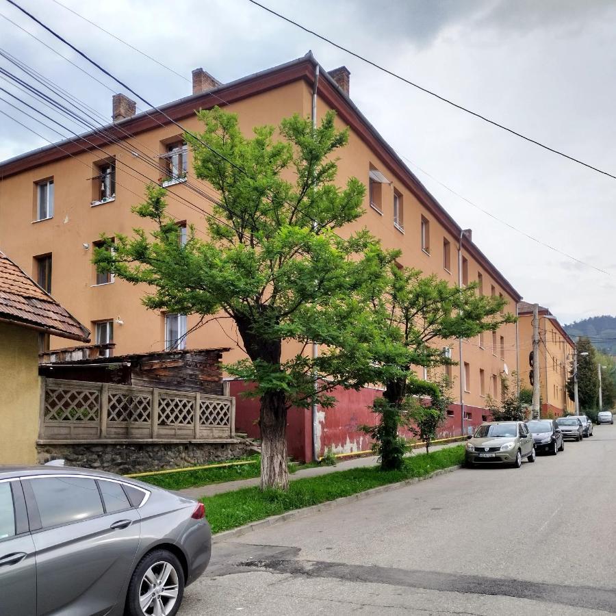 Camelia Apartment